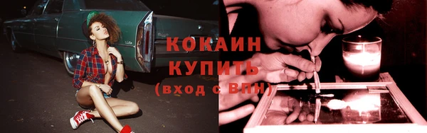 дурь Каменка