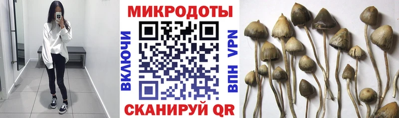 Галлюциногенные грибы прущие грибы  Купить закладки  Знаменск 